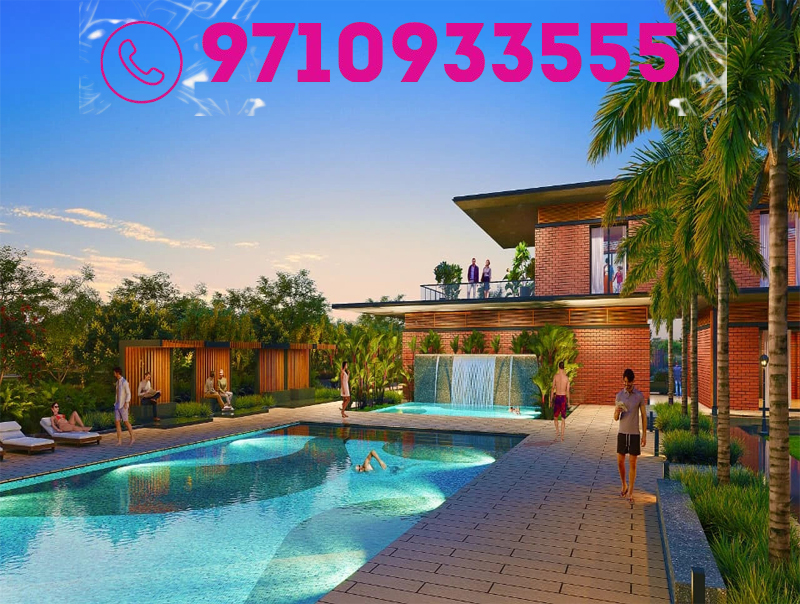 premium plots for sale